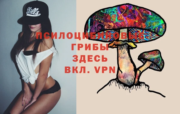 spice Абинск
