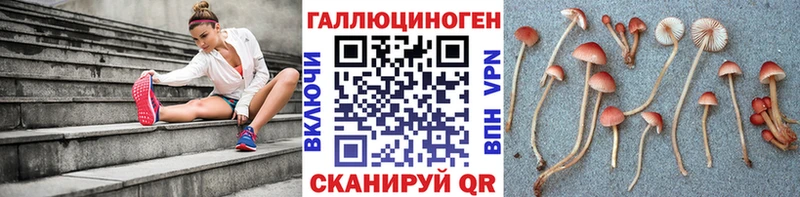 KRAKEN ССЫЛКА  Тейково  Галлюциногенные грибы Psilocybine cubensis 
