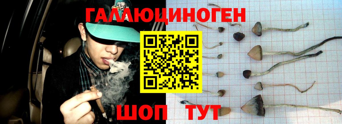 Галлюциногенные грибы мухоморы Тейково
