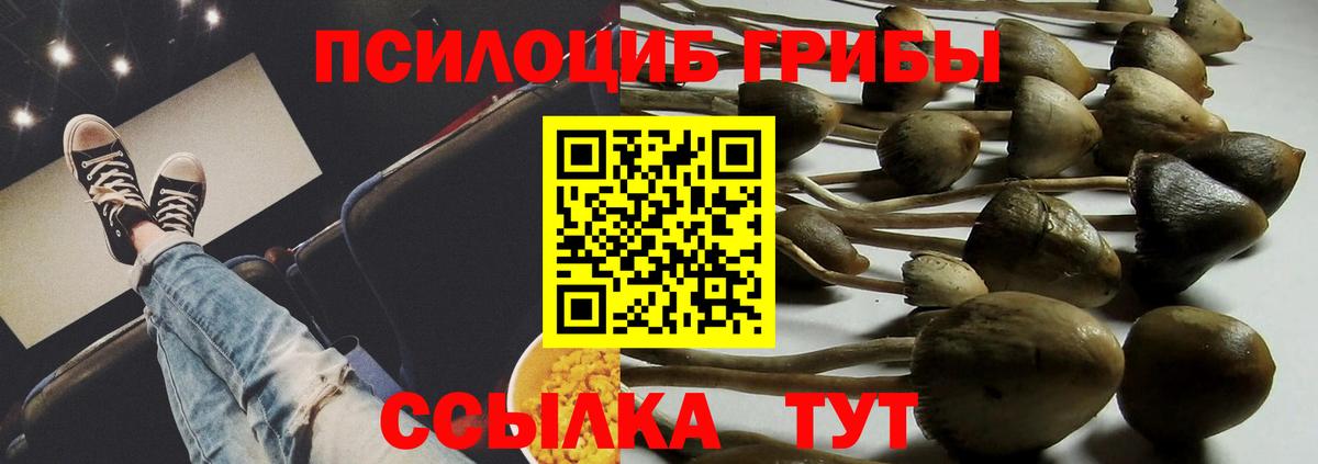 Тейково  Галлюциногенные грибы мицелий  даркнет сайт  Вход с VPN  Галлюциногенные грибы Cubensis 