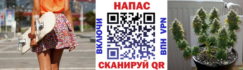 Канабис Amnesia  наркотики  Тейково 